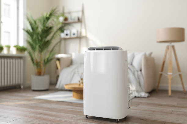 Best HVAC maintenance near me  in Placerville, CA